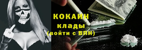 шишки Инсар