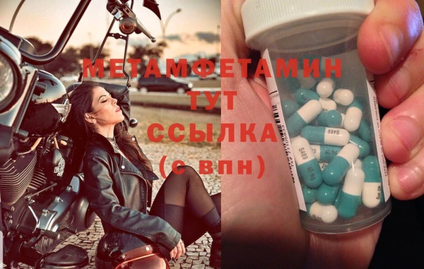 шишки Инсар