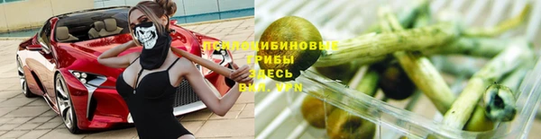 шишки Инсар
