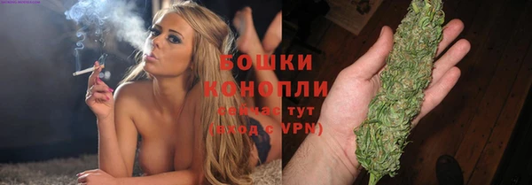 шишки Инсар