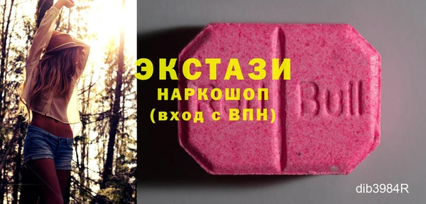 шишки Инсар