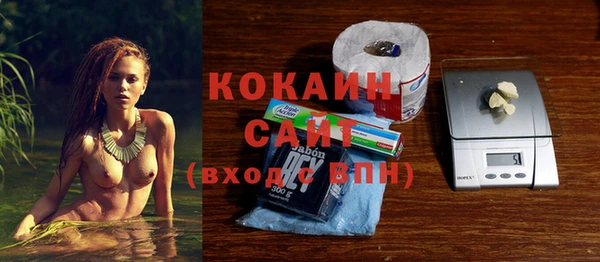шишки Инсар