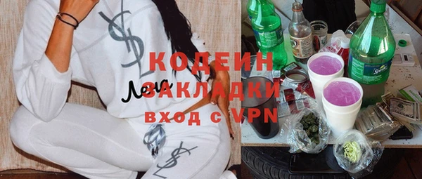 шишки Инсар