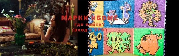шишки Инсар