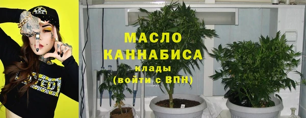 шишки Инсар