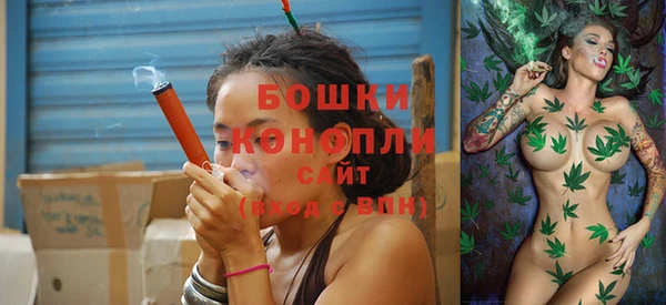 шишки Инсар